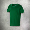 Nike Dri- Fit T-Shirt/Short Set Green from StockUK